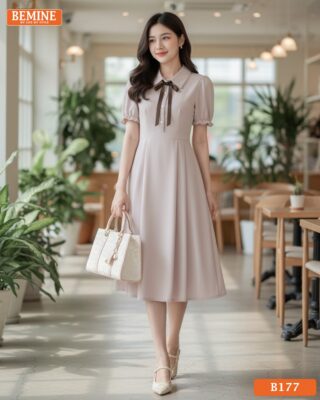 b177 da s 1762482439320.png