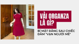 Vải Organza Là Gì? Bí Mật Đằng Sau Chiếc Đầm “Vạn Người Mê” hình ảnh