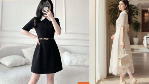 Mẫu Đầm Dự Tiệc Sang Trọng Cho U50 Quý Phái Mức Giá 1.5 Triệu hình ảnh