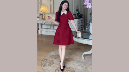 Đầm Ren Đỏ Sang Trọng Đi Tiệc Giáng Sinh Và Tất Niên Nổi Bật hình ảnh
